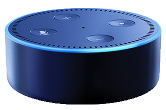 EchoDot_image_11_698 (1).png