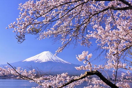 japan_culture_450S.jpg